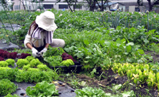 星(あかり)の宿ヴィラ・リバージュ