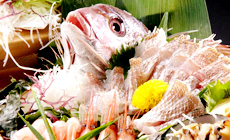 鯨波松島温泉 メトロポリタン松島