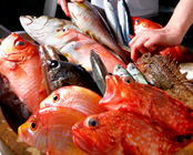 湯田温泉 湯の宿 味の宿 梅乃屋