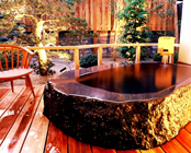 さぎの湯温泉 さぎの湯荘