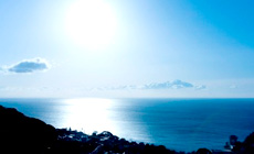 �ɓ��R����@���r�X�^�ɓ��R�i���@�h�[�~�[���B���@�ɓ��R�j