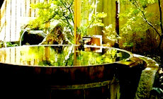 月岡温泉 広瀬館 ひてんの音