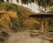 美味しい宿 豆腐懐石 猿ヶ京ホテル