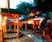 箱根湯本温泉 箱根 花紋