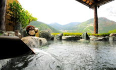 新祖谷温泉 ホテルかずら橋