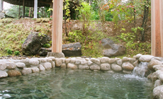 モルデンの湯 ドーミー倶楽部 安比高原