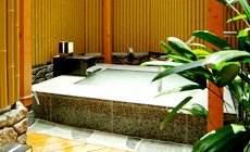 仙石原温泉 温泉旅館みたけ