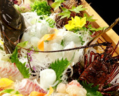 花の小宿 重兵衛