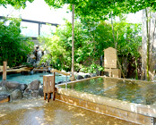 伊東温泉 ウェルネスの森 伊東