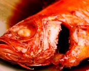 ニッポニア高原宿 夢海月