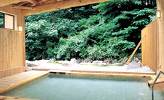 三国峠温泉 御宿 本陣