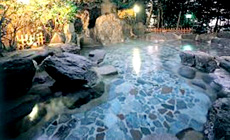 伊東温泉 音無の森 緑風園