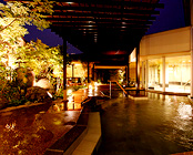 �z�e���@�E�F���V�[�Y���l���΁i���F���S�z�e���@�G���p�C�A�j