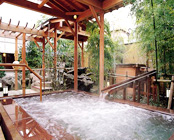 越後湯沢温泉 湯沢グランドホテル<新潟県>