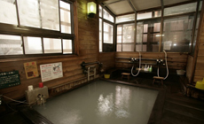 奥塩原温泉 湯荘 白樺