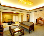 ���C����@�z�e���p�X�g�[��