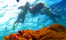 �I�L�i���@�}���I�b�g�@���]�[�g�@���@�X�p