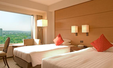 �m�{�e���D�y