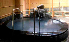 弥彦温泉 彌彦グランドホテル