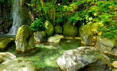 ���͌�����@�ۑ��i������񂻂��j