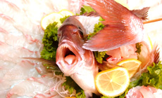 ���ɓ��x�͘p�@���h�g���]���̏h�@�ɓ���