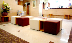 �T�j�[�X�g���z�e����Q