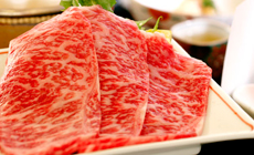 塩原温泉 やまの宿 下藤屋