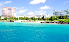 �쐼�y���@�z�e���u���[�Y�x�C�}���[�i�@���{�Ó���