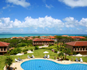 �쐼�y���@���l�����]�[�g&�X�p�@�j���J�i�C�i���F���O�[���X�C�[�g���B���@�A���}���_�E���B���n�s���p�i�j