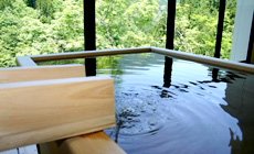 渓谷の隠れ宿 祖谷美人