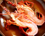 伊勢志摩 二見浦 夫婦岩前 旅館 大石屋