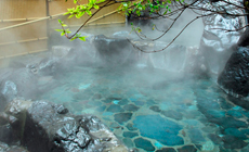 川治温泉 お宿 東山閣