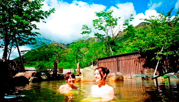 ���̏h�@�[�R����