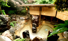 ���͌�����@���ف@���������@���{�ő勉�ݐؘI�V���C�̏h