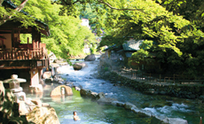 宝川温泉汪泉閣