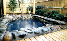 弥彦温泉 やひこ荘