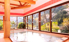 祖谷の宿 かずらや