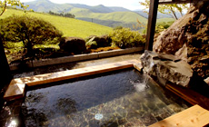 �����̏h�@�V�E�q��