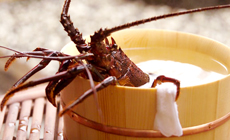 伊豆高原温泉 全室露天風呂付き離れの宿 風楽の森