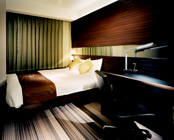 �z�e���u���C�g���V�e�B���k�l