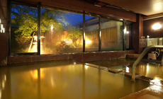 �ɍ��ۉ���@����h�@�ˉz�������q