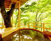 信州高山温泉郷 仙人露天岩風呂と渓谷美の宿 山田温泉 風景館