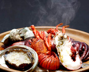 �M�C����@�C�ӂ̏h�@���_��