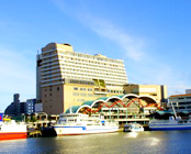 ���ꂩ��䂵�A�[�o�����]�[�g�E�i�n