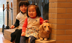 那須高原 ペットと泊まれる ペンション みなみかぜ