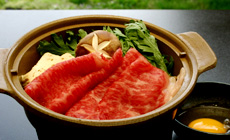 �V��������@���򖯏h�@���h�̂���