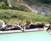 万座温泉 万座ホテル聚楽(じゅらく)