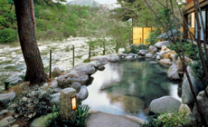 鬼怒川温泉 花の宿 松や