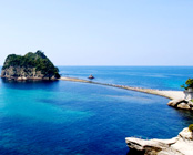 ����������@�C�ӂ̂����ꓒ�@����