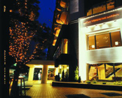 �z�e�����l�K�[�f��